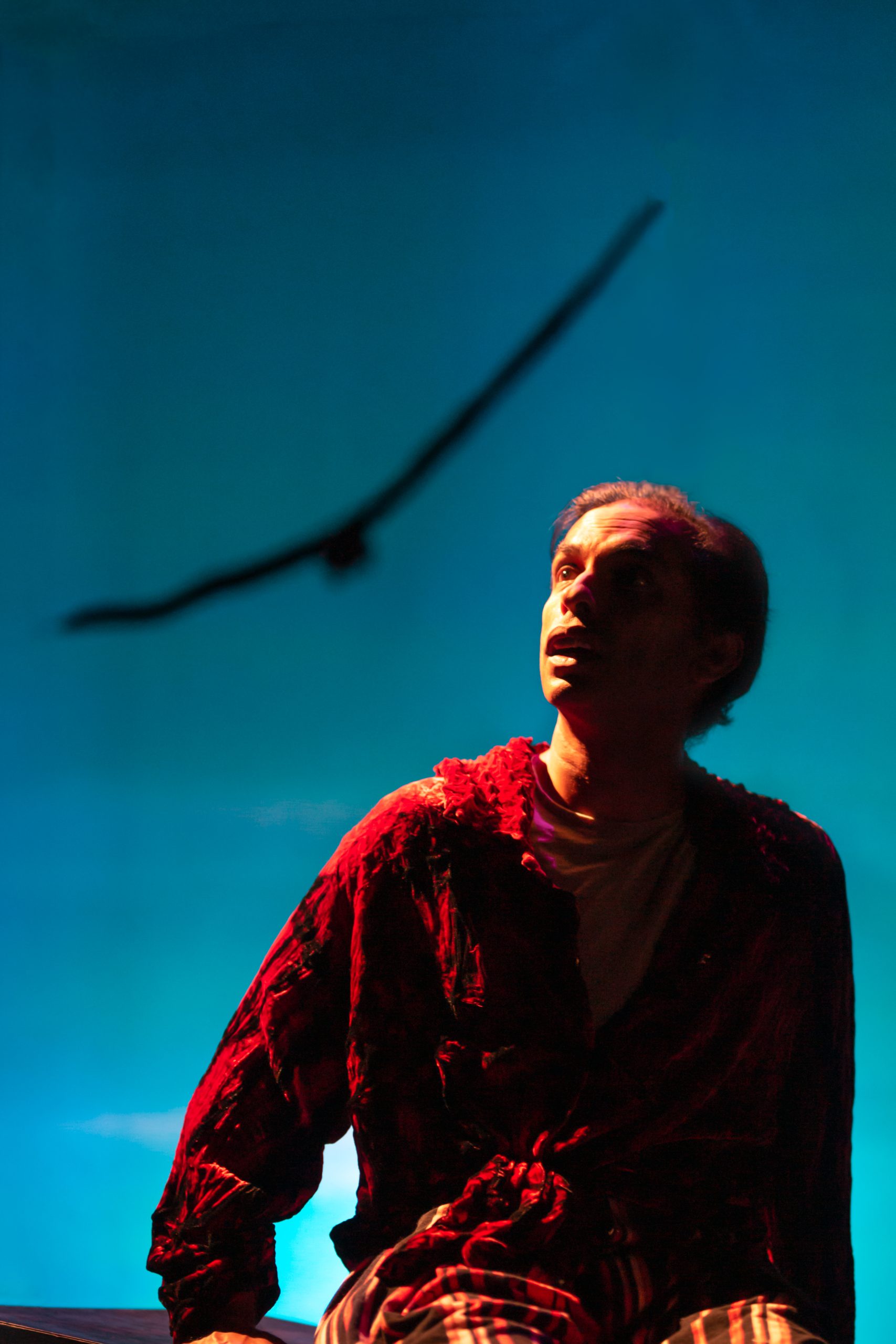 Jacob Rajan looks into the distance with a bird silhouette in the background