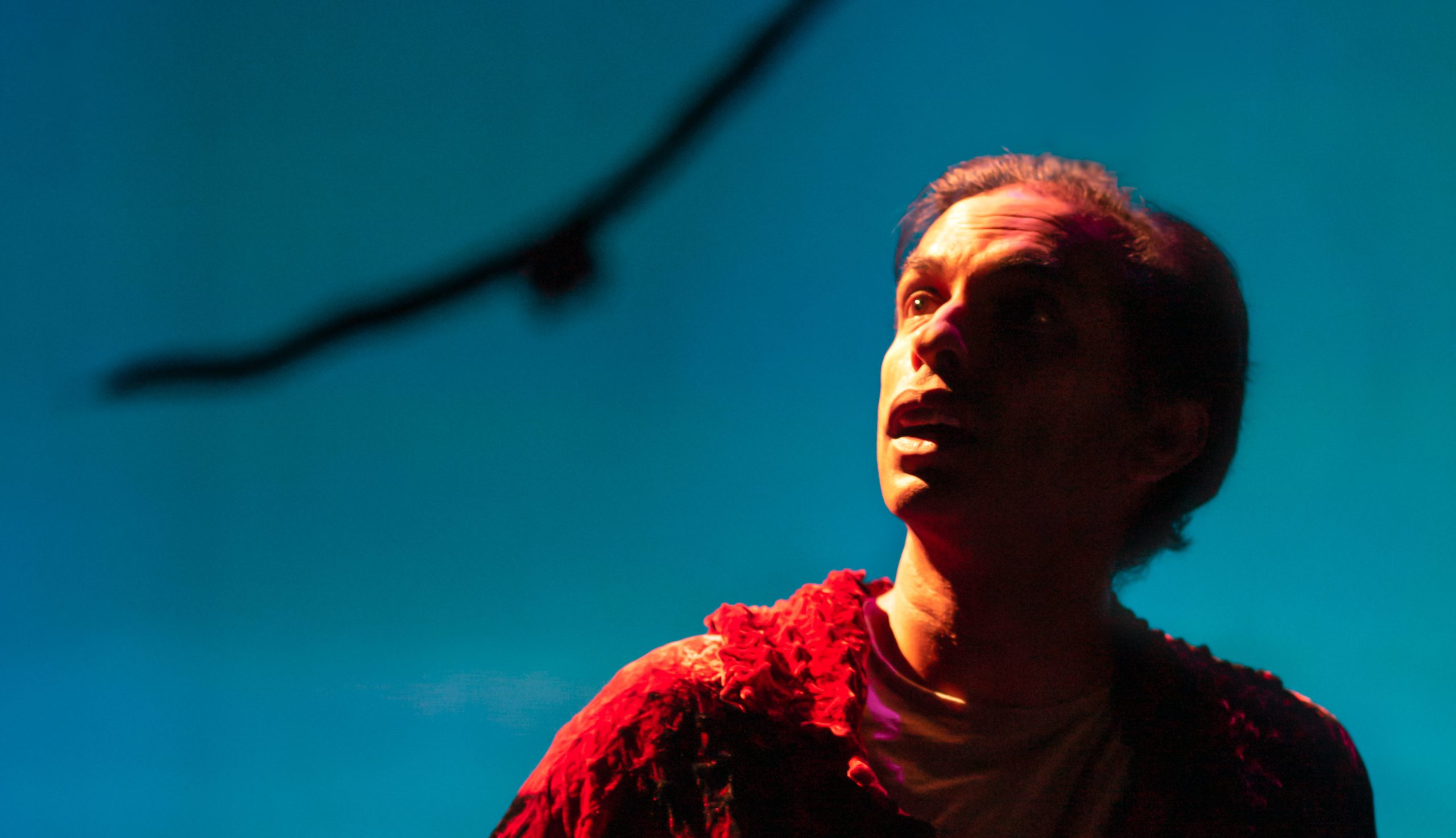 Jacob Rajan looks into the distance with a bird silhouette in the background