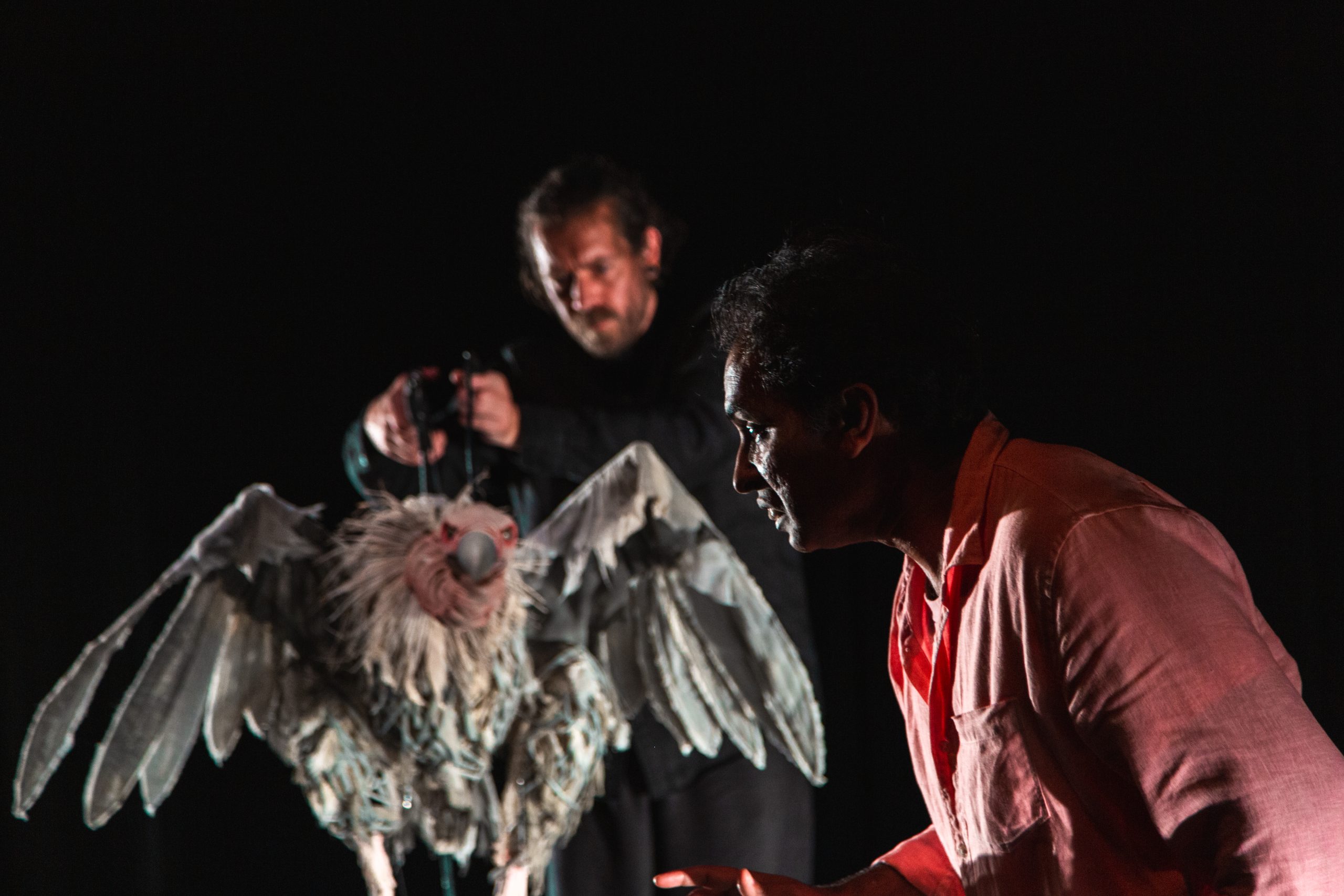 Puppeteer Jon Coddington with Gerry the Vulture puppet facing Actor Jacob Rajan in a pink shirt. The background is black and dark and Jacob is almost entirely in shadow. You can see the puppeteer's face and him handling the puppet. The vulture is large and scary. It is grey, white, and pink with red eyes.