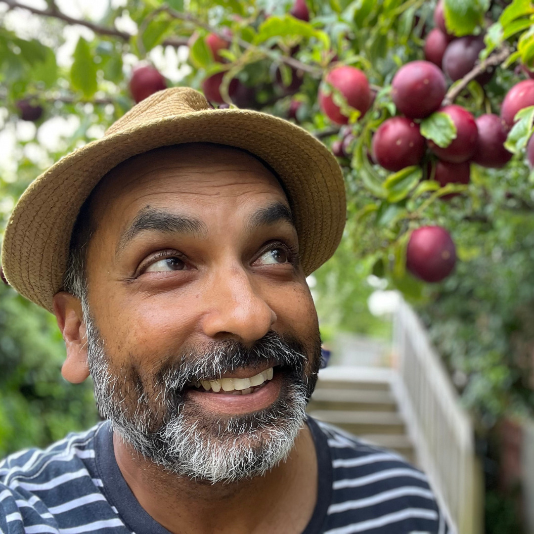 Smiling bearded man in a straw hat looking up at ripe red plums hanging from a tree